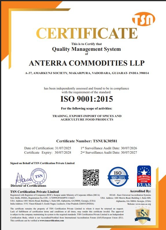 1753961737 688b5509f29eb